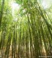 世界領土面積排名(世界領土面積排名第三)