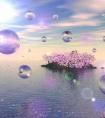 十二生肖歇后語(yǔ)(什么角上抹油又尖又滑十二生肖歇后語(yǔ))